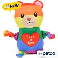 YOULY Pride Rainbow Teddy Bear Plush Dog Toy
