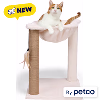 EveryYay Hammock Mini Cat Tree
