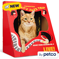 EveryYay Jazz Poster Cat Scratch Condo
