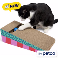 EveryYay Leaning Cat Scratcher with Ball Track