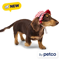 YOULY Red & White Gingham Pet Bucket Hat