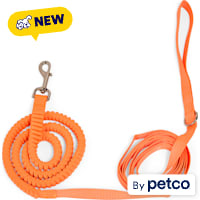 YOULY Bungee Recall Training Dog Leash