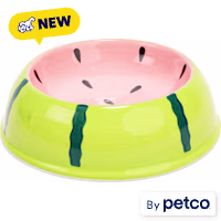 EveryYay Watermelon Ceramic Cat Bowl