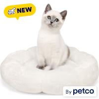 EveryYay Round Bolster Plush Cream Cat Bed