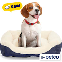 EveryYay Cuddler Bolstered Cat Bed