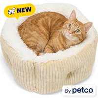 EveryYay Square High Wall Cat Bed