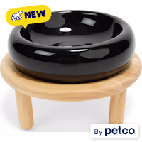 EveryYay Elevated Ceramic Dog Bowl and Wooden Stand