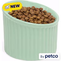 EveryYay Elevated Fluted Ceramic Dog Bowl