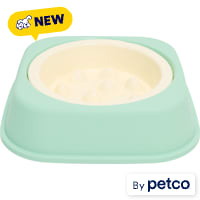 EveryYay 2-in-1 Nesting Bowl and Slow Feeder Dog Bowl Set