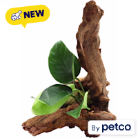 Imagitarium Anubias on Driftwood