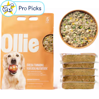 Ollie Fresh Pork Dish with Apples Fresh Frozen Dog Food