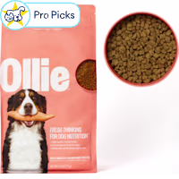 Ollie Baked Beef Dish with Sweet Potatoes Dry Dog Food