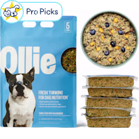 Ollie Fresh Turkey Dish with Blueberries Fresh Frozen Dog Food