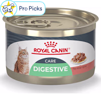 Royal Canin Feline Care Nutrition Digestive Care Thin Slices in Gravy Wet Cat Food