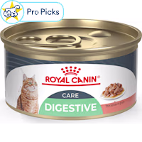 Royal Canin Feline Care Nutrition Digestive Care Adult Thin Slices in Gravy Cat Food