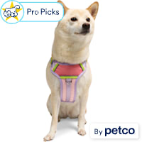 YOULY Adventure Reflective Dog Harness