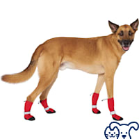 Canada Pooch Soft Shield Boots for Dogs