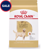 Royal Canin Breed Health Nutrition Labrador Retriever Adult Dry Dog Food