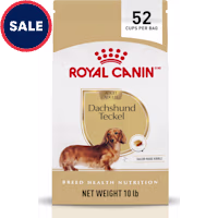 Royal Canin Breed Health Nutrition Dachshund Adult Dry Dog Food