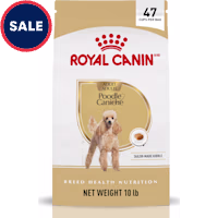 Royal Canin Breed Health Nutrition Poodle Adult Dry Dog Food