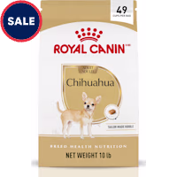 Royal Canin Breed Health Nutrition Chihuahua Adult Dry Dog Food