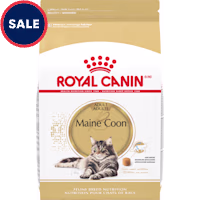 Royal Canin Feline Breed Nutrition Maine Coon Adult Dry Cat Food