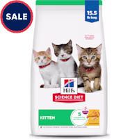 Hill's Science Diet Chicken Recipe Dry Kitten Food