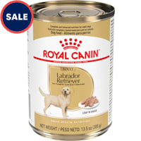 Royal Canin Breed Health Nutrition Labrador Retriever Adult Loaf in Sauce Dog Food