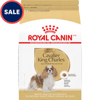 Royal Canin Breed Health Nutrition Cavalier King Charles Spaniel Adult Dry Dog Food