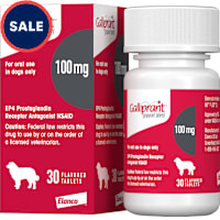 Galliprant 100 mg for Dogs