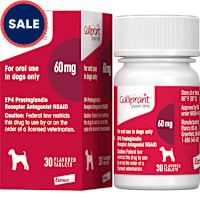 Galliprant 60 mg for Dogs