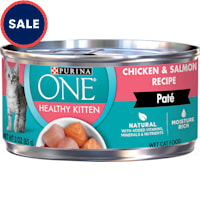 Purina ONE Grain Free Healthy Chicken & Salmon Recipe Pate Wet Kitten Food