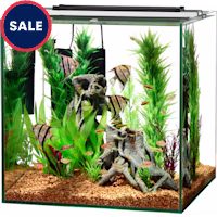 Aqueon Frameless Cube Aquarium