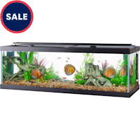 Aqueon Standard Open-Glass Glass Aquarium Tank