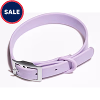 Wild One Dog Collar