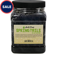 Springtail Culture