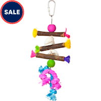 Prevue Pet Products Playfuls Shells & Sticks Bird Toy