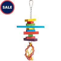 Prevue Pet Products Playfuls Sassy Bird Toy