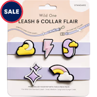 Wild One Leash and Collar Flair in Dream
