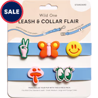 Wild One Leash and Collar Flair in Groovy