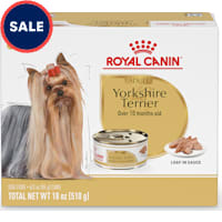 Royal Canin Breed Health Nutrition Yorkshire Terrier Adult Loaf in Sauce Dog Food