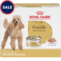 Royal Canin Breed Health Nutrition Poodle Adult Loaf in Sauce Dog Food