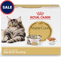 Royal Canin Feline Breed Nutrition Maine Coon Adult Thin Slices in Gravy Cat Food