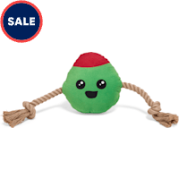 Petco Olive for Fun Plush Rope Dog Toy