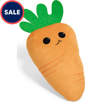 Petco Happy Carrot Plush Dog Toy