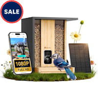 Birdfy Black Bamboo Smart Bird Feeder with Camera Solar Powered Motion Detection