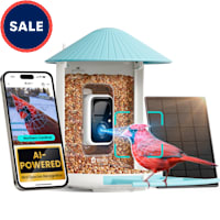Birdfy Blue Solar Panel & AI Lifetime Free Smart Bird Feeder Camera