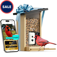 Birdfy Ebony Solar Powered Smart Bird Feeder with Camera