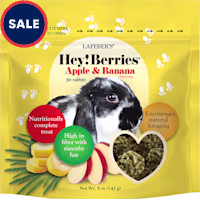 Lafeber's Hey!Berries Apple & Banana Treats for Rabbits