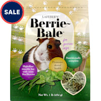 Lafeber's Mint Berrie-Bale for Guinea Pigs